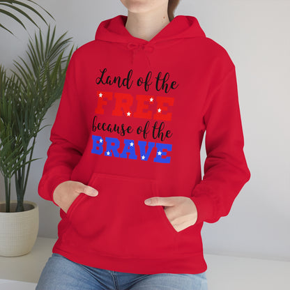 U.S.A. the Land of the free Hoodie