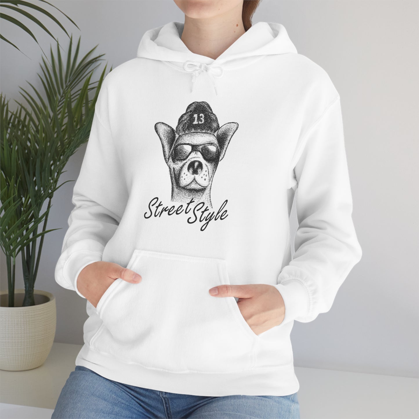 Street Style Hoodie