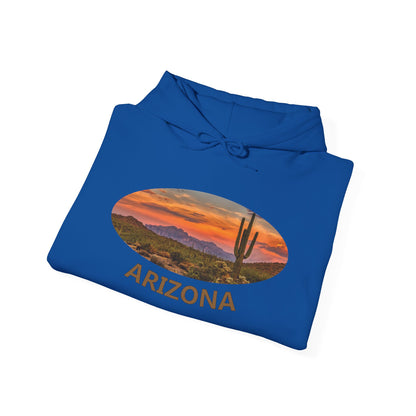 Arizona beautiful desert Hoodie