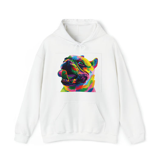 Colorful Dog Hoodie