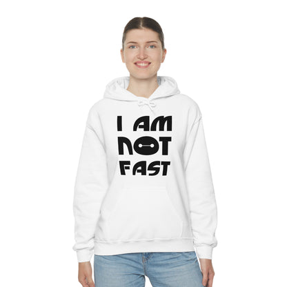 i am not fast 1 Hoodie