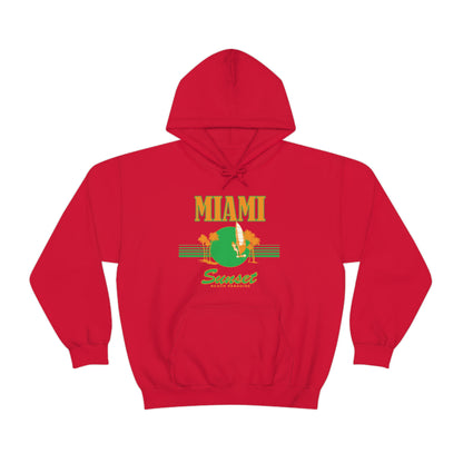 Miami Sunset Beach Paradise Hoodie