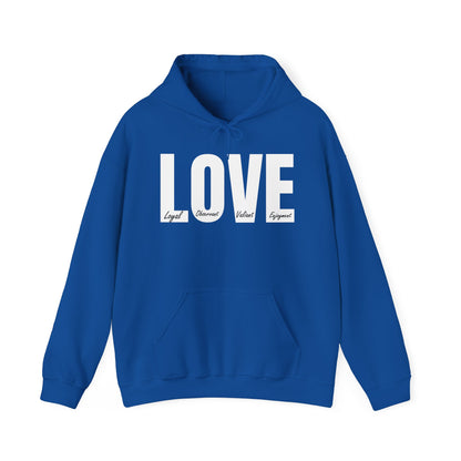 Love definition Hoodie