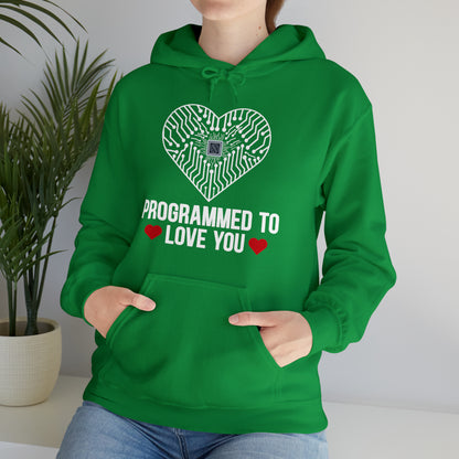 Programmed to love you Hoodie