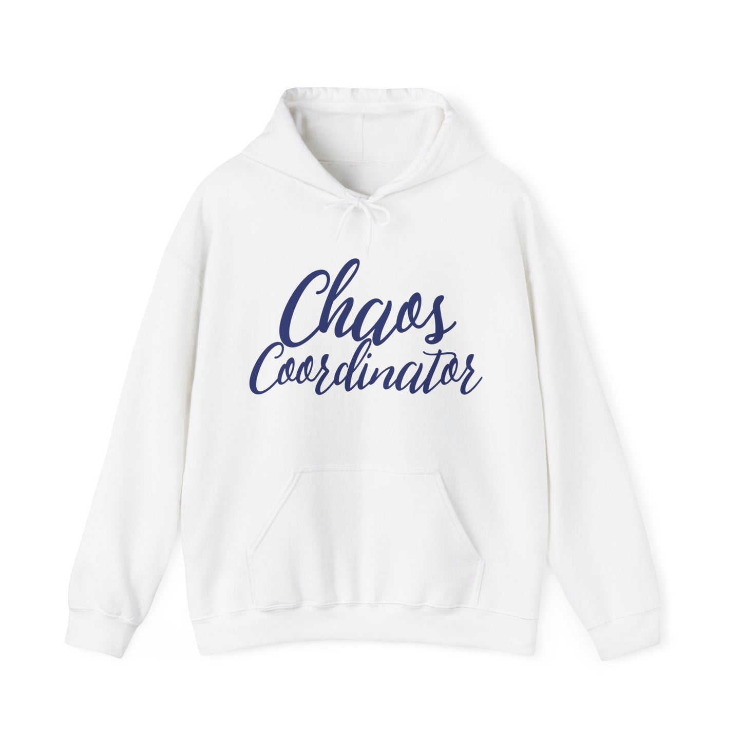 Chaos Coordinator Hoodie