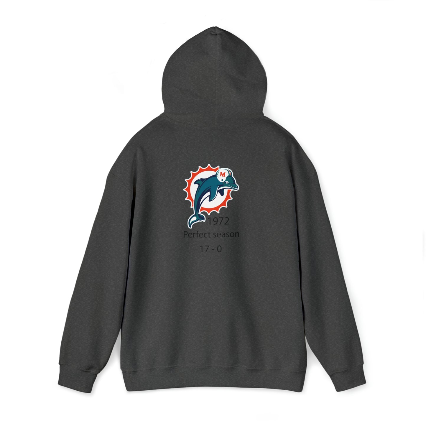 Dolphins definition Hoodie