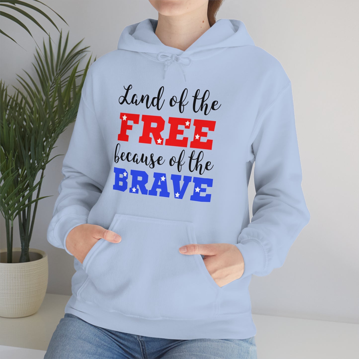 U.S.A. the Land of the free Hoodie