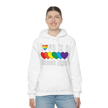 Love is a Human right Hoodie