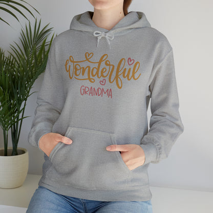 Wonderful_Grandma Hoodie