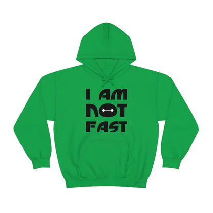 i am not fast 1 Hoodie