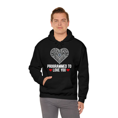 Programmed to love you Hoodie