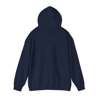 Arizona beautiful desert Hoodie