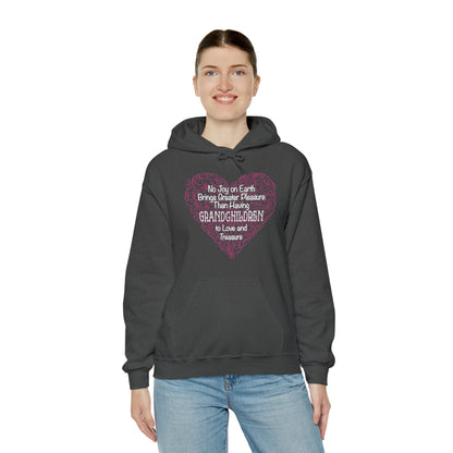 Grandchildren are a great pleasure Hoodie