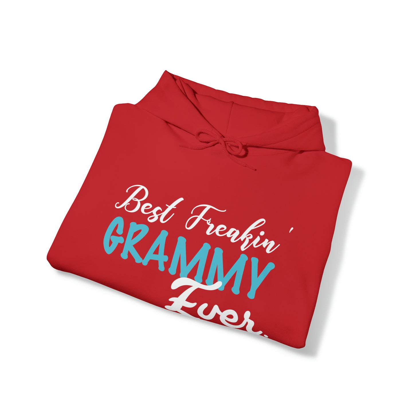 Best freaking grammy ever Hoodie