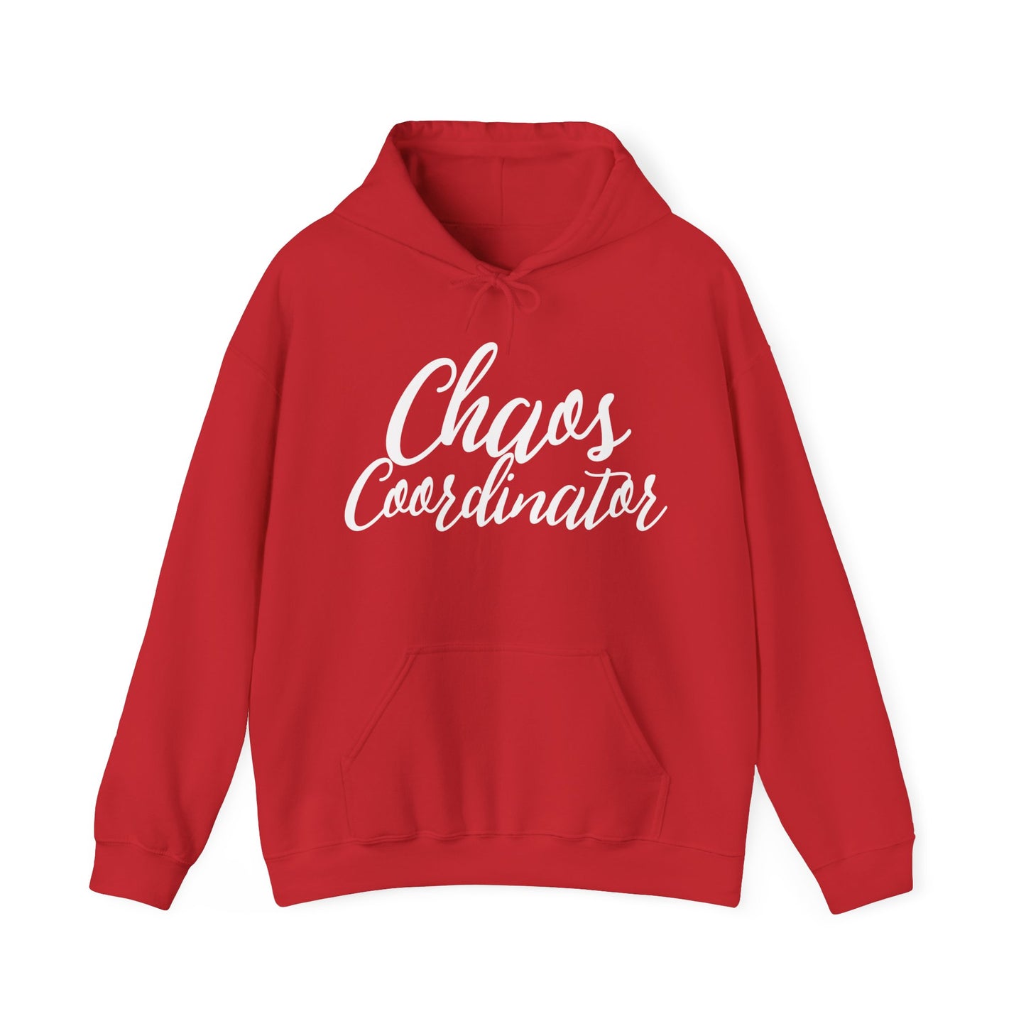 Chaos Coordinator Hoodie