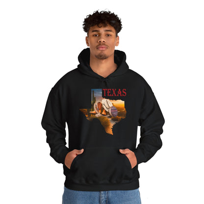 Beautiful Texas Hoodie