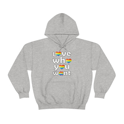 Love who you want Hoodie