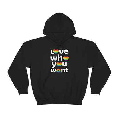 Love who you want Hoodie