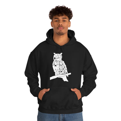 The Owls Are Not What They Seem Hoodie