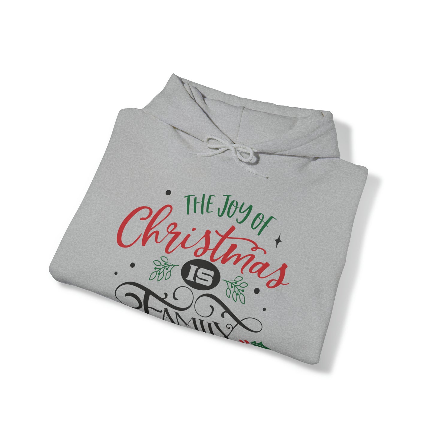 The joy of Christmas is family Hoodie