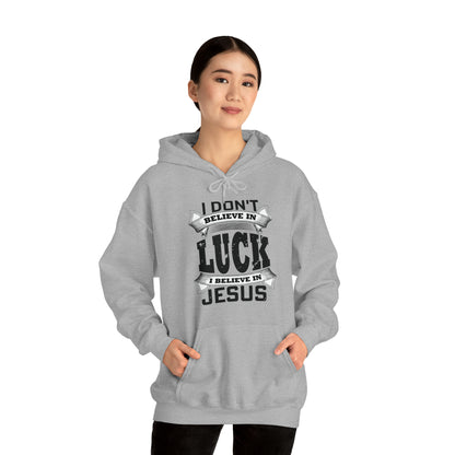 I believe in Jesus Hoodie