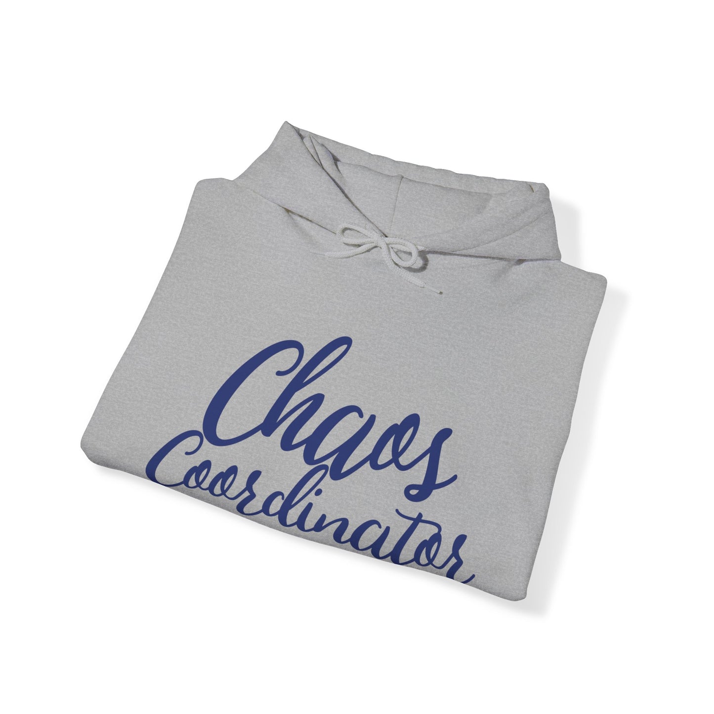 Chaos Coordinator Hoodie