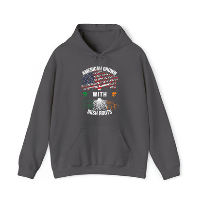 American born with Irish roots Hoodie