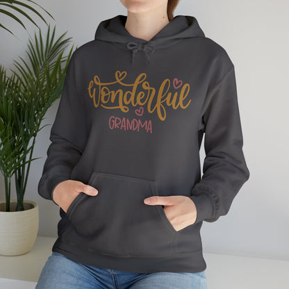 Wonderful_Grandma Hoodie