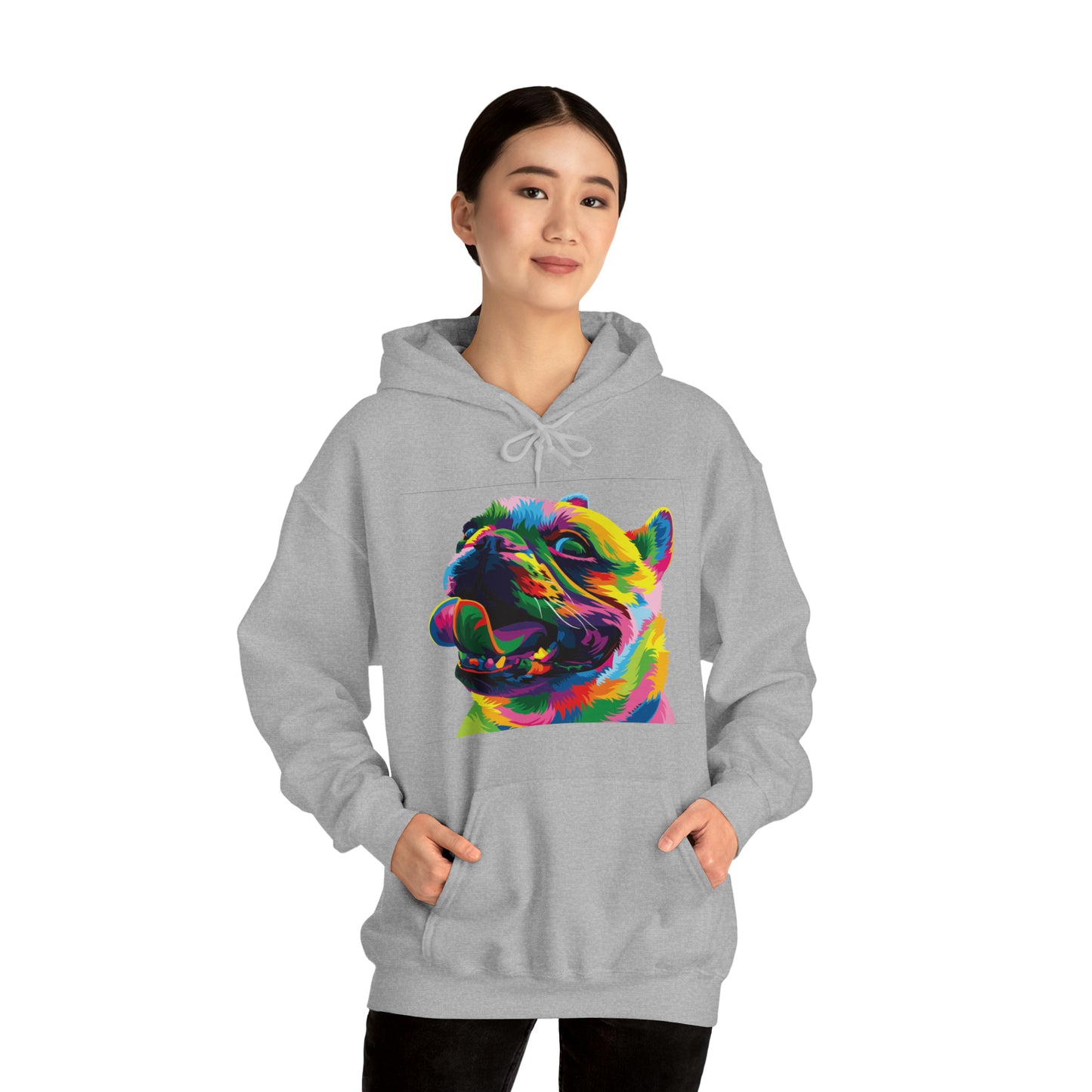 Colorful Dog Hoodie