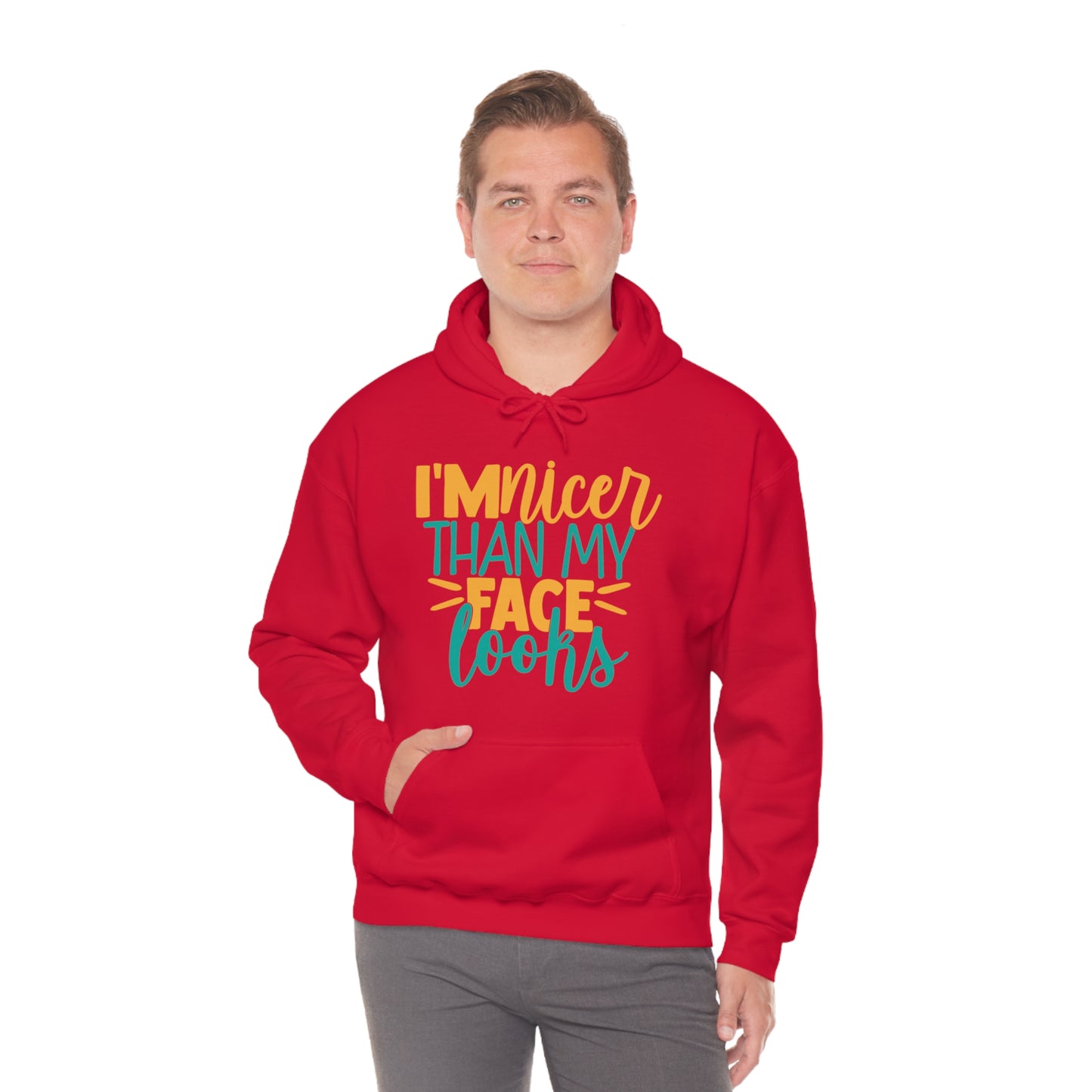 I'm Nicer Than My Face Looks Hoodie