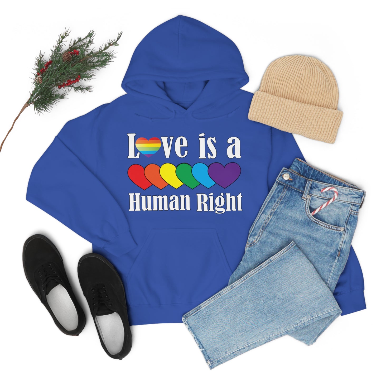 Love is a Human right Hoodie