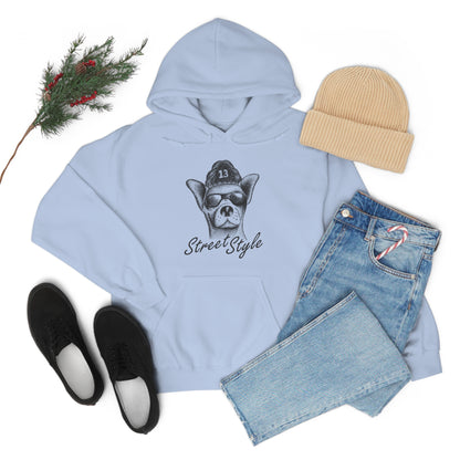 Street Style Hoodie