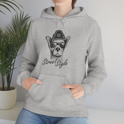 Street Style Hoodie