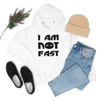 i am not fast 1 Hoodie