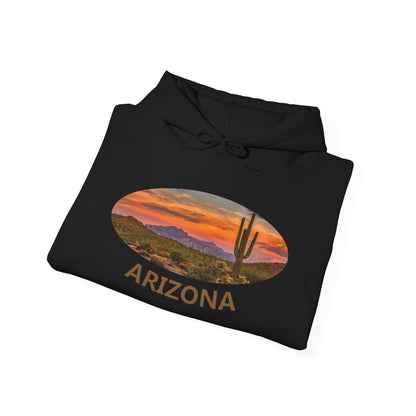 Arizona beautiful desert Hoodie