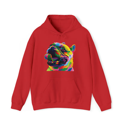 Colorful Dog Hoodie