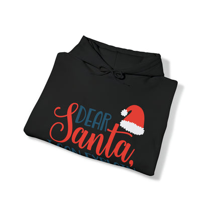 Dear Santa I Can explain Christmas Hoodie