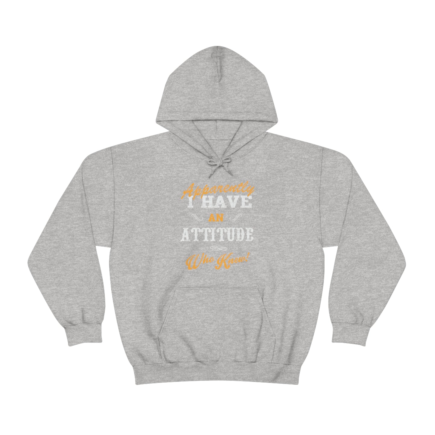 Apparently I Have an Attitude Who Knew! Hoodie