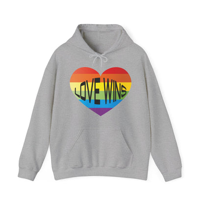 Love wins LGBTQ Hoodie