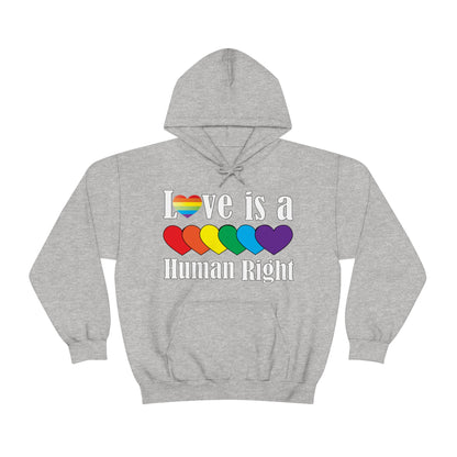 Love is a Human right Hoodie