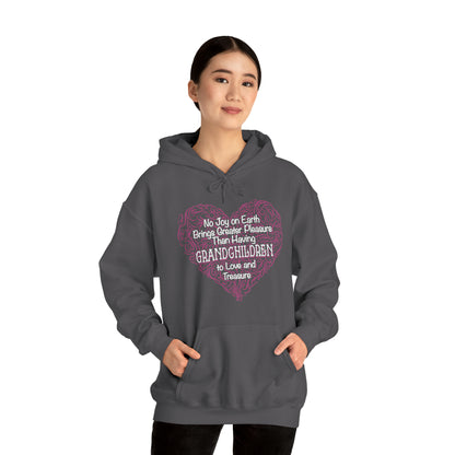 Grandchildren are a great pleasure Hoodie