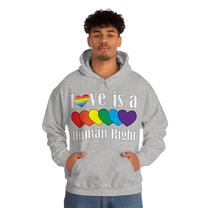 Love is a Human right Hoodie