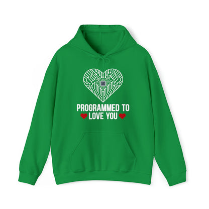 Programmed to love you Hoodie