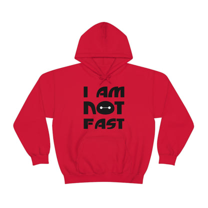 i am not fast 1 Hoodie