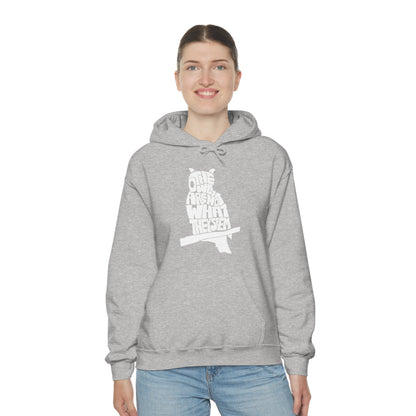 The Owls Are Not What They Seem Hoodie