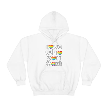 Love who you want Hoodie