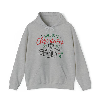 The joy of Christmas is family Hoodie