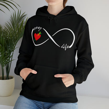 Love life infinity Hoodie