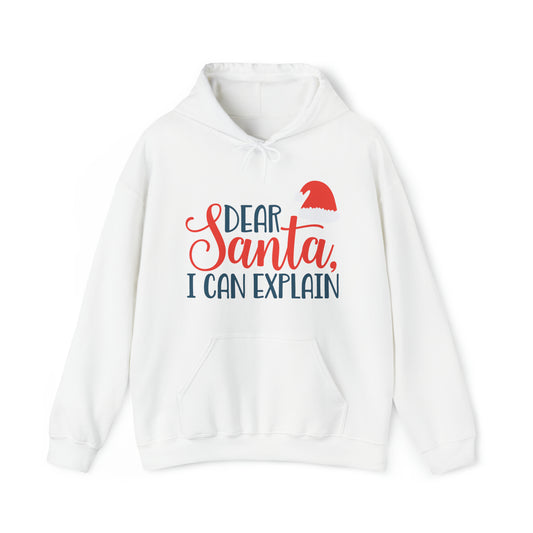 Dear Santa I Can explain Christmas Hoodie