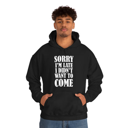 Sorry I'm late Hoodie